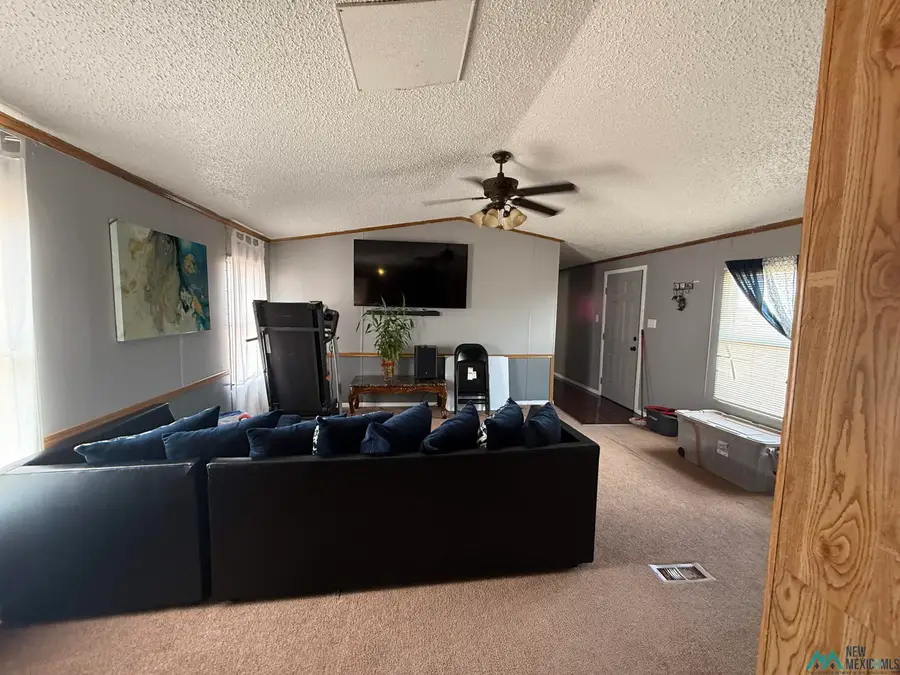 304 Clayton Avenue, Hagerman, NM 88232 - Image #3