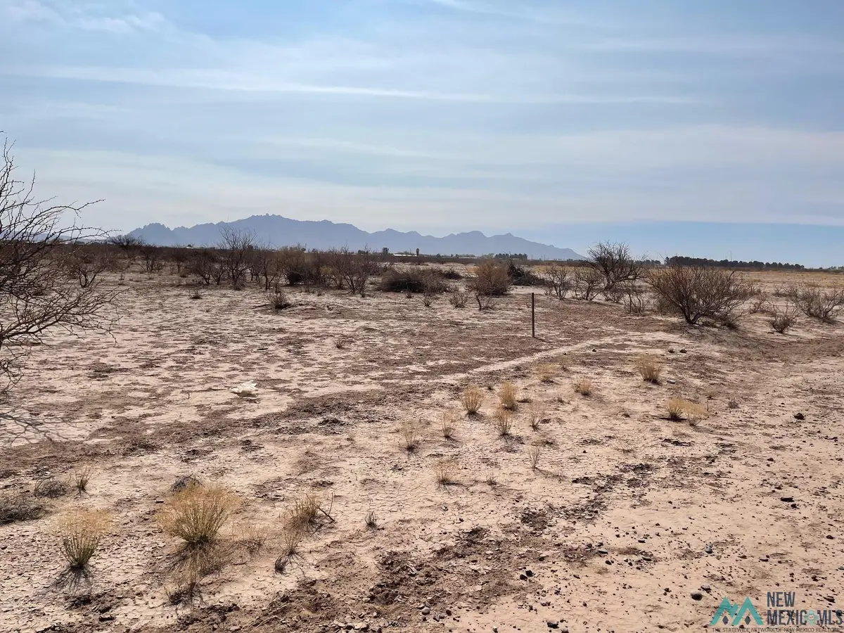 XXXX Pawnee Trail Sw, Deming, NM 88030 - Image #1