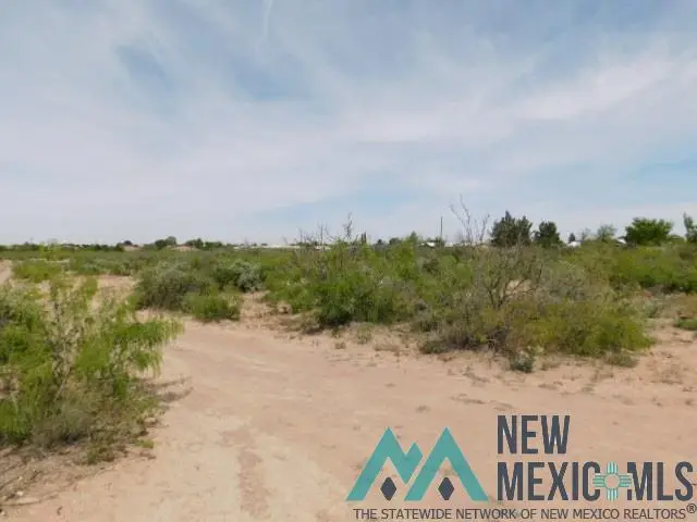 Tennyson Dr. Lot 3, Deming, NM 88030 - Image #3