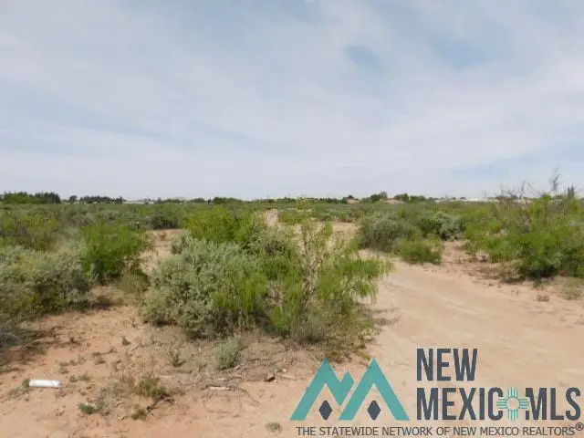 Tennyson Dr. Lot 5, Deming, NM 88030 - Image #2