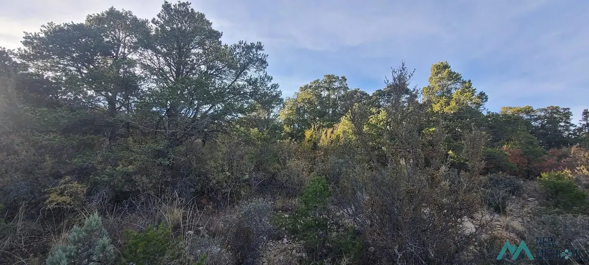 Lot 7 Bellwood Court, Timberon, NM 88350 - Image #1