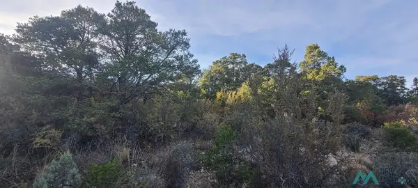 Lot 7 Bellwood Court, Timberon, NM 88350