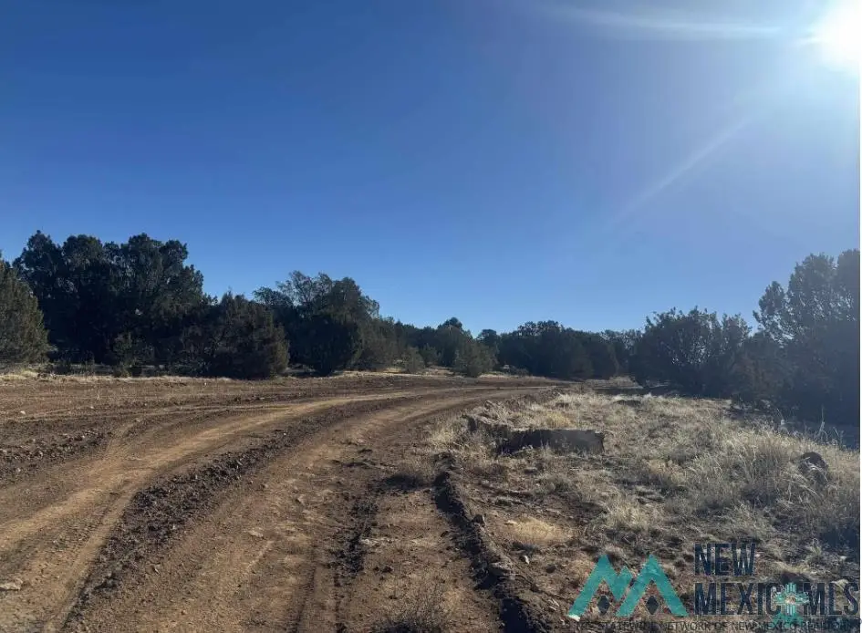 320+/- acres Apache Mesa Avenue, Las Vegas, NM 87701 - Image #1