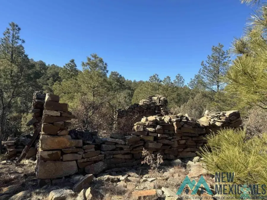 320+/- acres Apache Mesa Avenue, Las Vegas, NM 87701 - Image #2