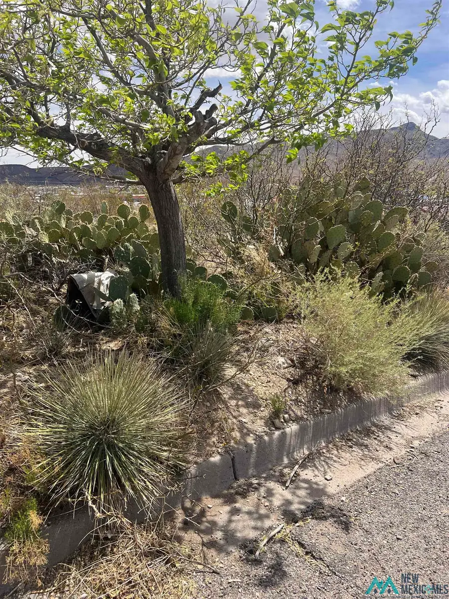 907 Grape Street, Truth Or Consequences, NM 87901 - Image #3