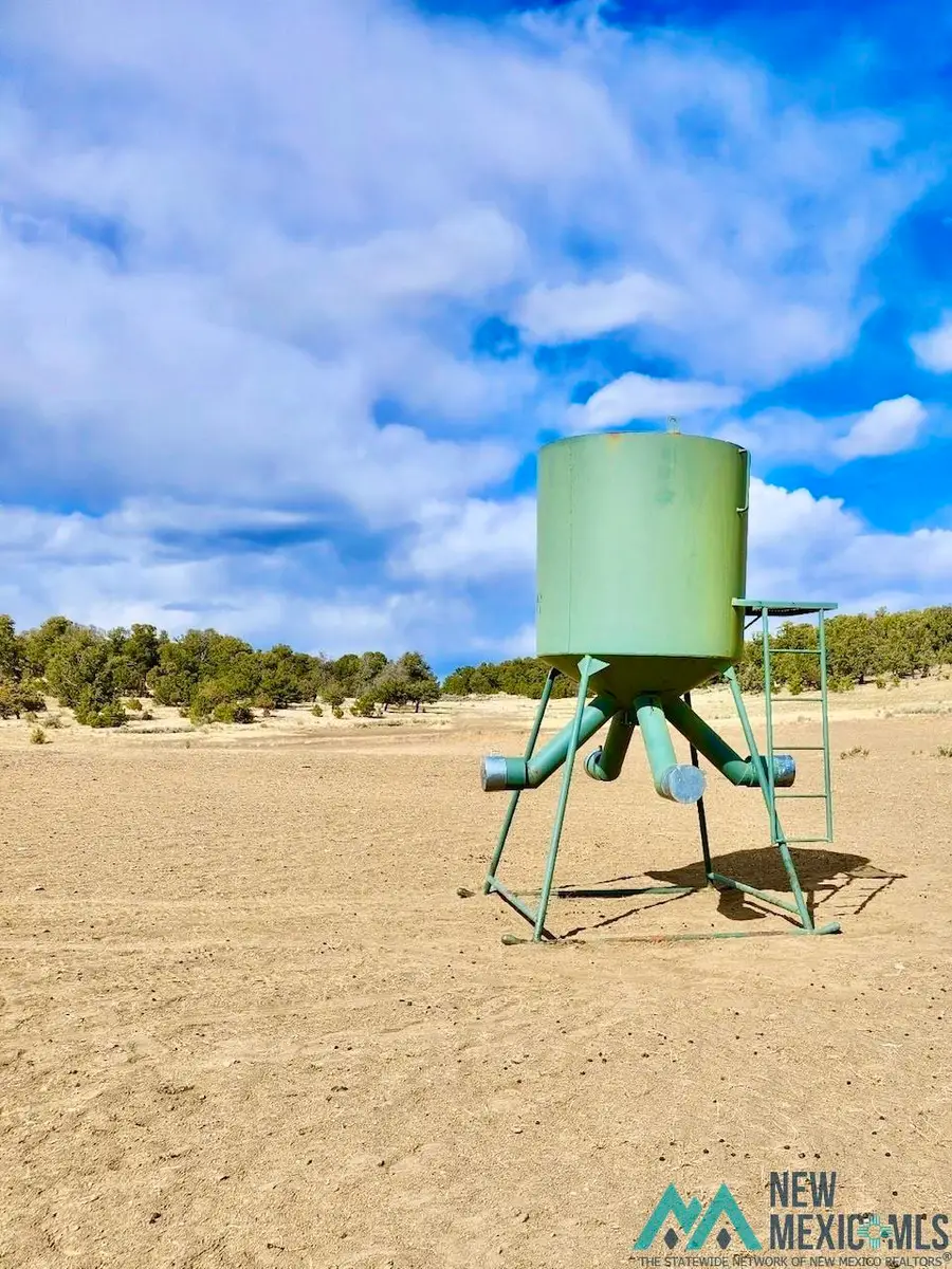 Highway 96 & 595 Highway, Regina, NM 87017 - Image #3