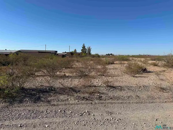 XXXX W Houston Avenue, Columbus, NM 88029