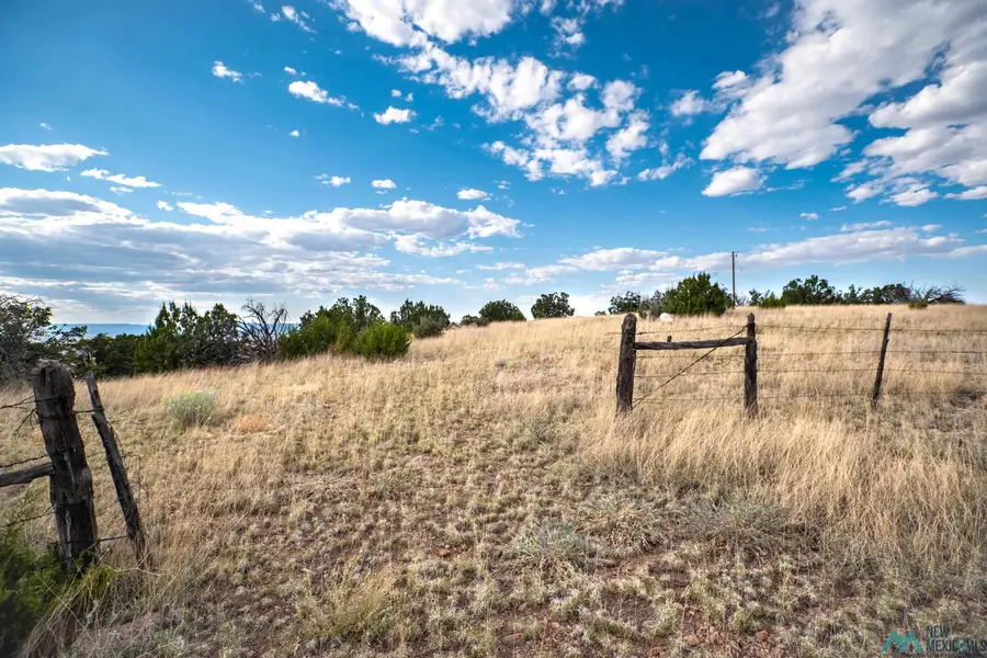123 Ridge View Road, Magdalena, NM 87825 - Image #3