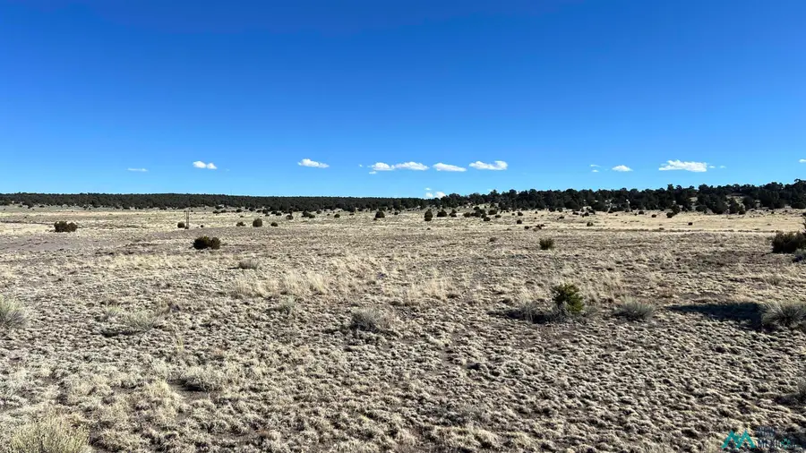 Santianez Lake Trail Road, Pie Town, NM 87827 - Image #2