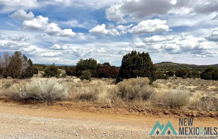 16 Five Gate Road, Pinehill, NM 87357 - Image #2