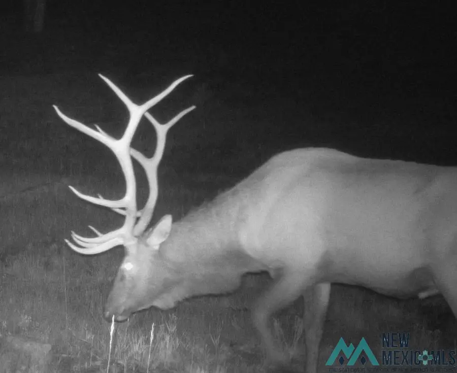 000 Ice Caves Road, Grants, NM 87020 - Image #2