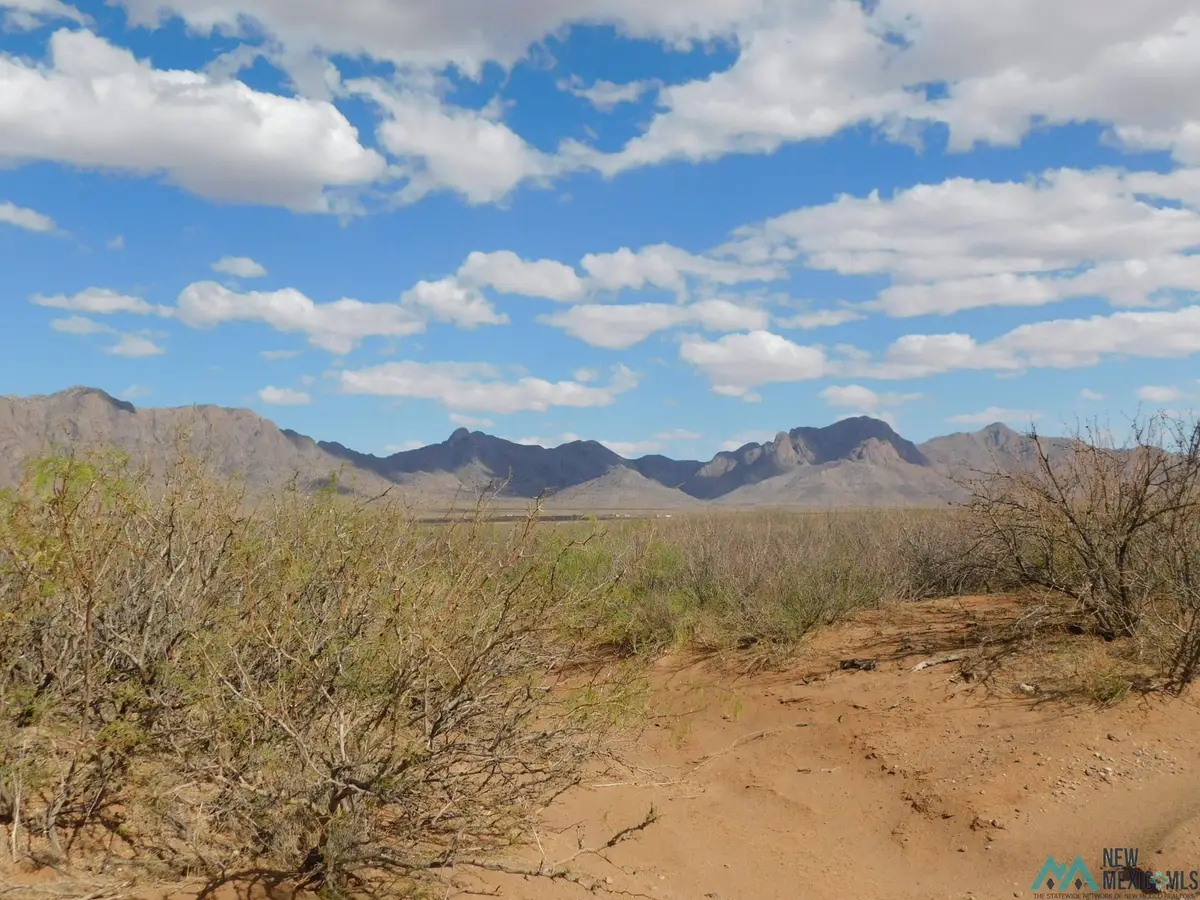 0 Bur Rd Se, Deming, NM 88030 - Image #1
