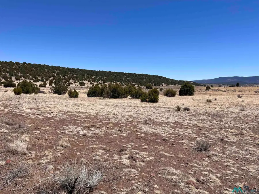 Lot 23 Lost Cabin Subdivision, Reserve, NM 87820 - Image #2