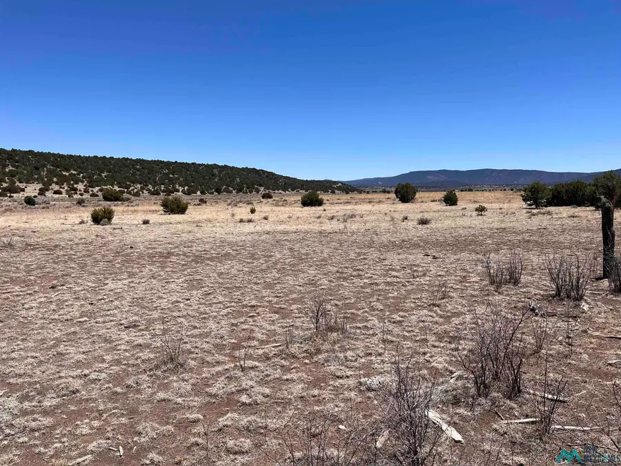Lot 23 Lost Cabin Subdivision, Reserve, NM 87820 - Image #3