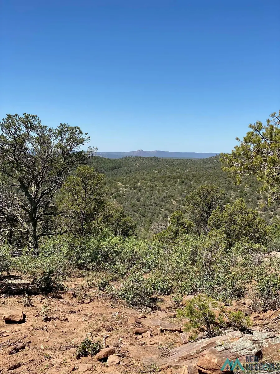 540 C 24, Las Vegas, NM 87701 - Image #3