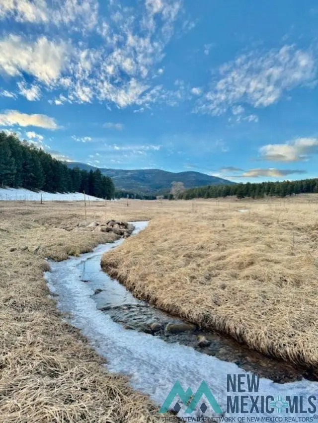 28289 Hwy 64 Highway, Eagle Nest, NM 87718 - Image #1