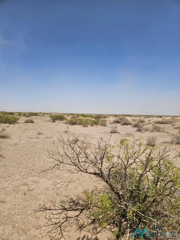 XXX Vibroa Rd Se, Deming, NM 88030