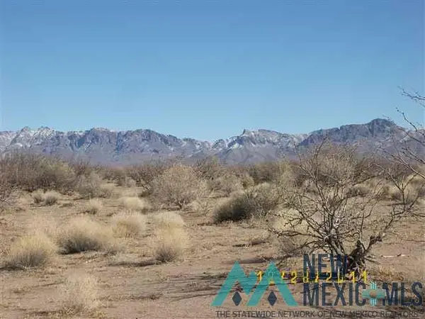 Frontier Ranchos Unit 3 Bk 6 Lts 4,6,19,20,21, Deming, NM 88030