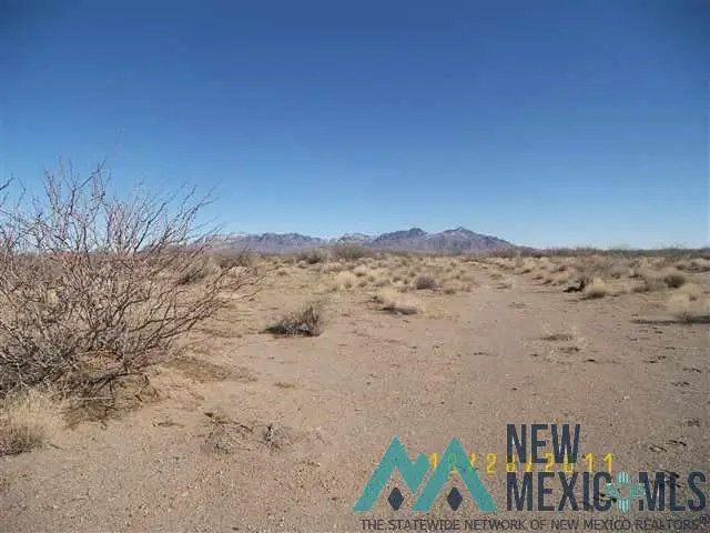 Frontier Ranchos Unit 3 Bk 6 Lts 4,6,19,20,21, Deming, NM 88030 - Image #2
