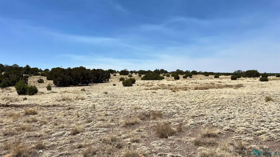 51 Hide Away Road, Quemado, NM 87829 - Image #3