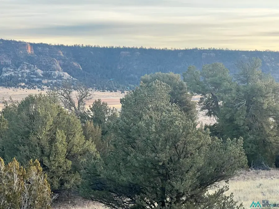 Lot 56 Woodland Drive, Timberlake Ranches Drive, Ramah, NM 87321 - Image #2