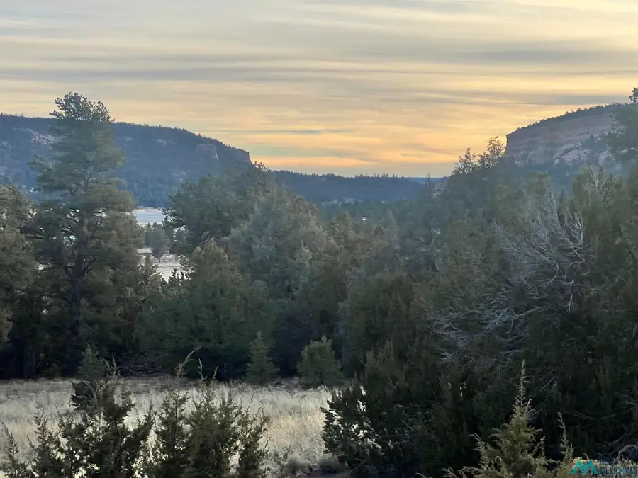 Lot 56 Woodland Drive, Timberlake Ranches Drive, Ramah, NM 87321 - Image #3