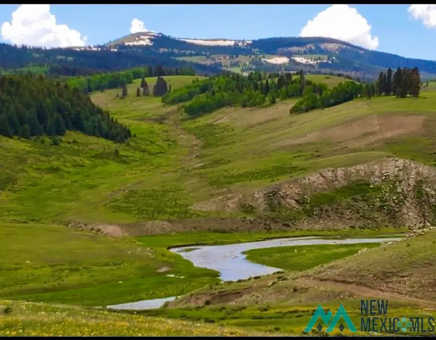 000 Brazos River Crossing Road, Tierra Amarilla, NM 87551 - Image #3