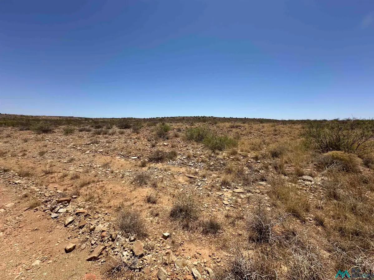 Lot 33 Vista Del Lago Land, Elephant Butte, NM 87935 - Image #1
