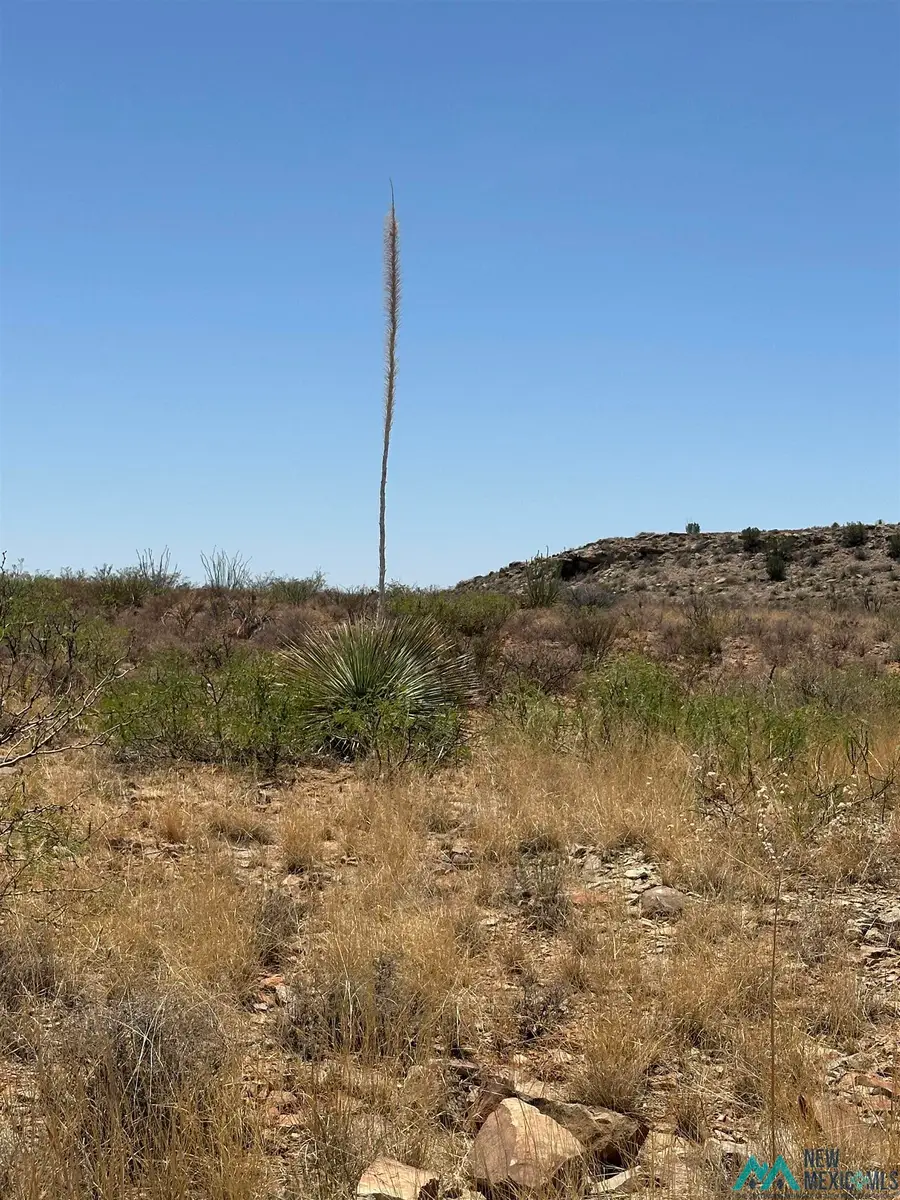 Lot 33 Vista Del Lago Land, Elephant Butte, NM 87935 - Image #3