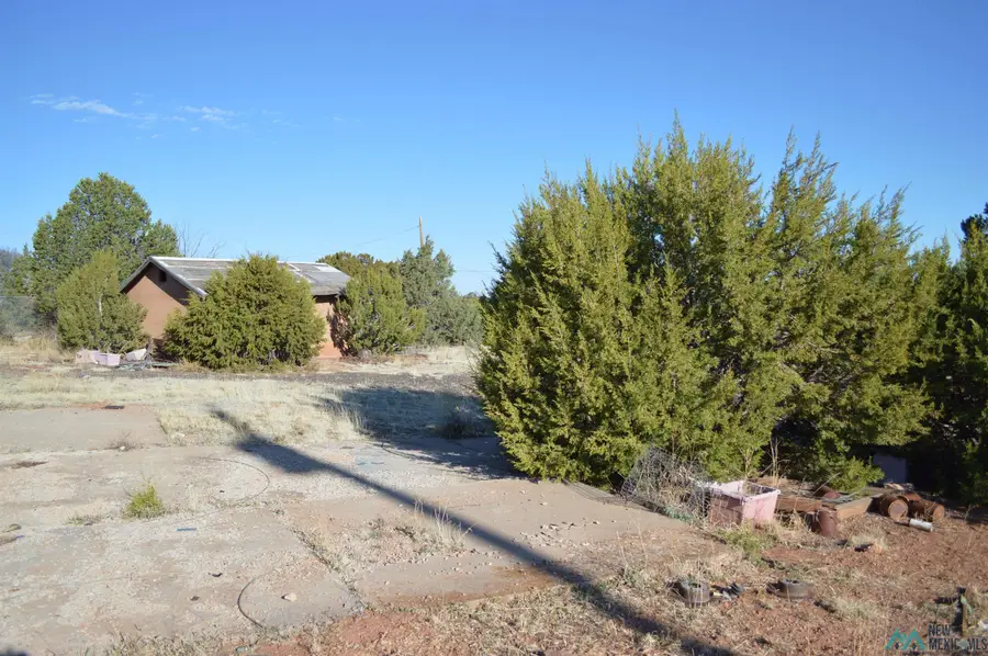10 Stueber Loop, Thoreau, NM 87323 - #3