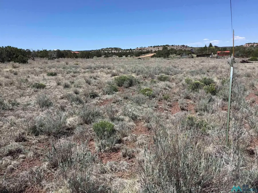 TBD Palomino Loop, Jamestown, NM 87347 - Image #3