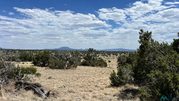 Warpath Rd Road, Quemado, NM 87829