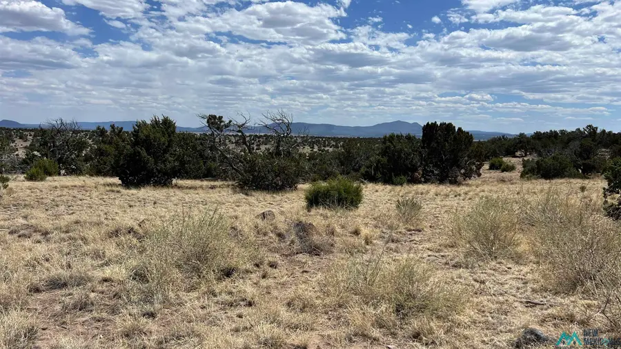 Warpath Rd Road, Quemado, NM 87829 - Image #3