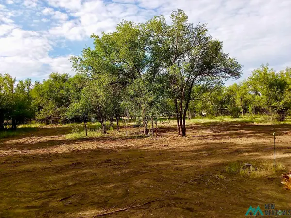 302 10th Street, Springer, NM 87747