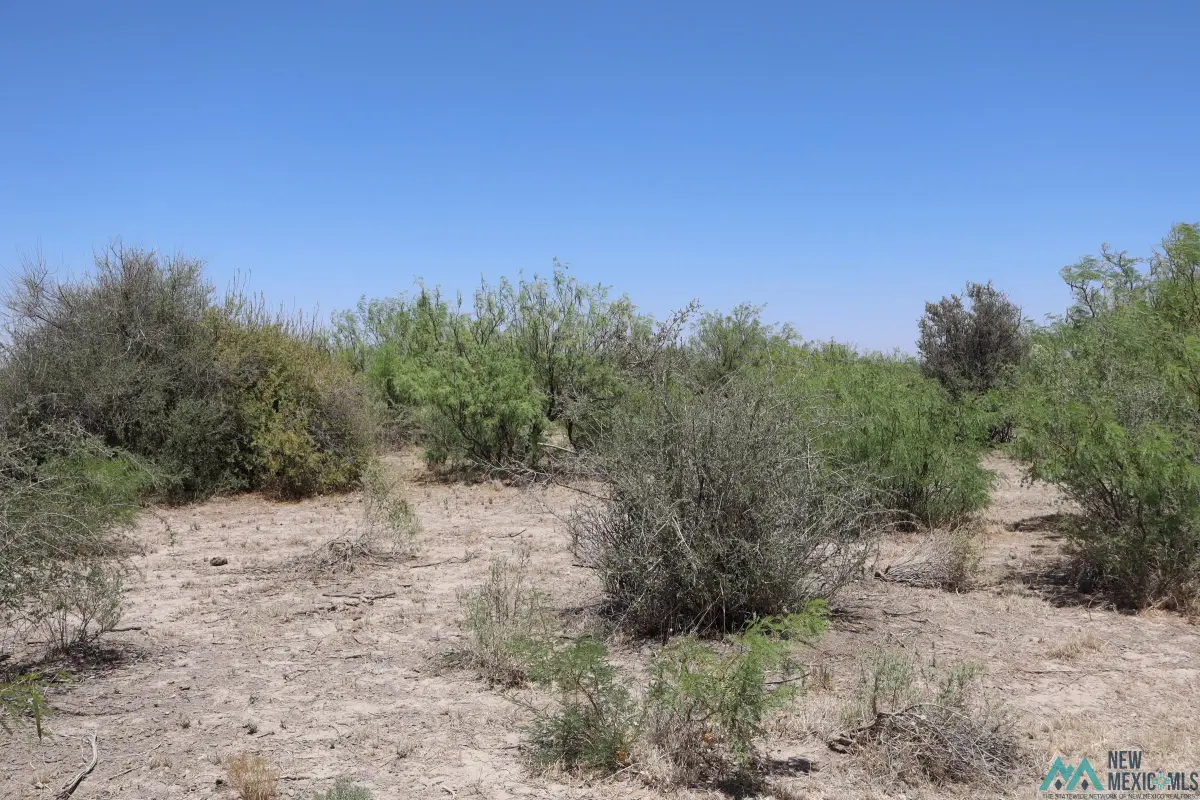 Camino Once Rd Sw, Deming, NM 88030 - Image #1