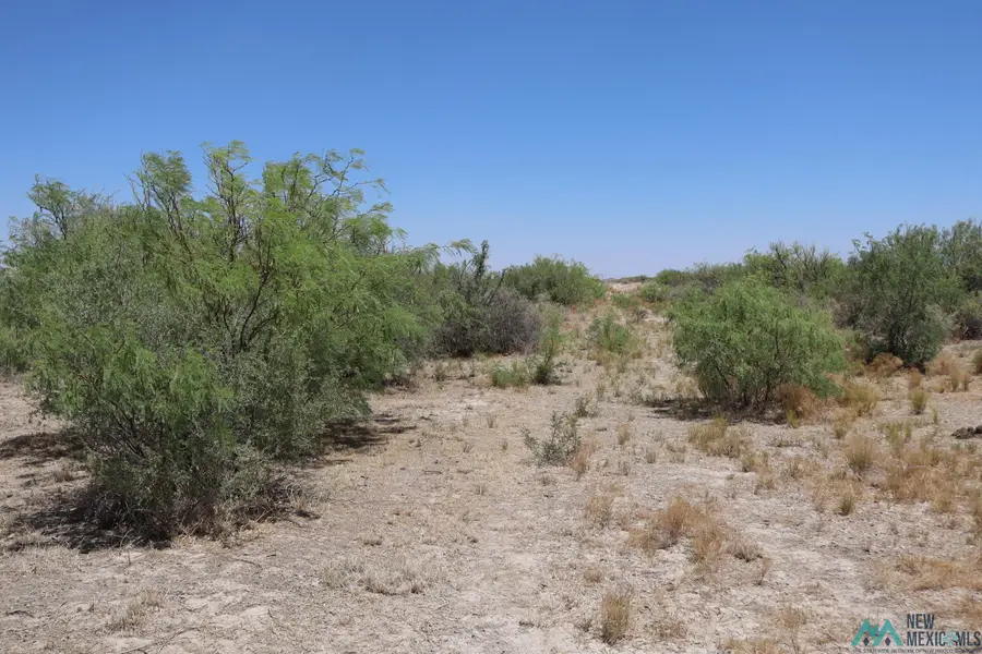Camino Once Rd Sw, Deming, NM 88030 - Image #2