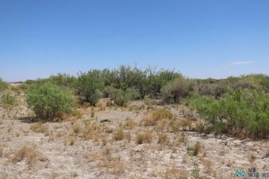 Camino Once Rd Sw, Deming, NM 88030 - Image #3