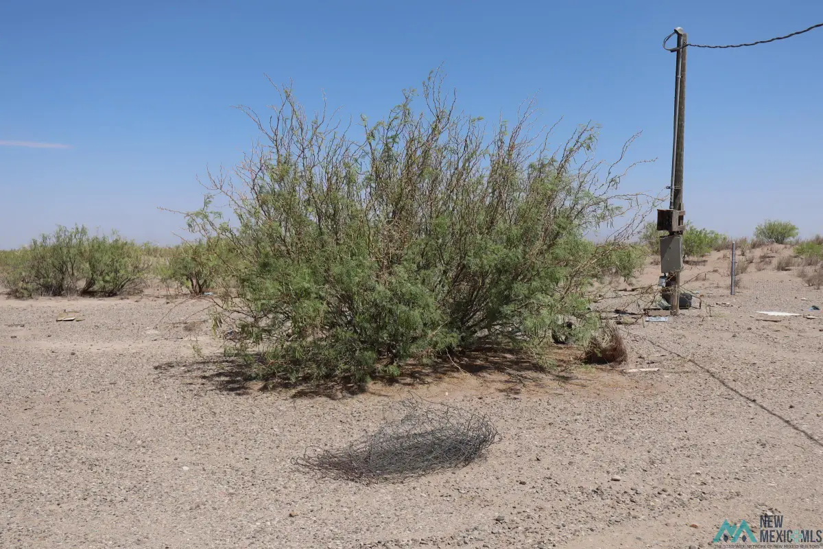 13995 Hwy 549 Se, Deming, NM 88030 - Image #1