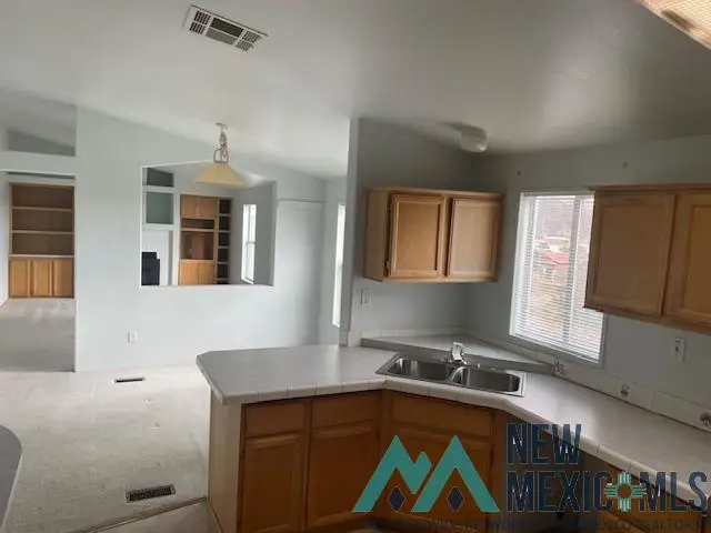 253 Valle De Uvas, Mimbres, NM 88049 - Image #3