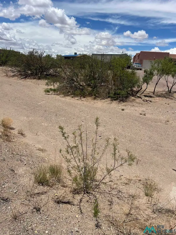 206 Ontario Drives, Elephant Butte, NM 87935