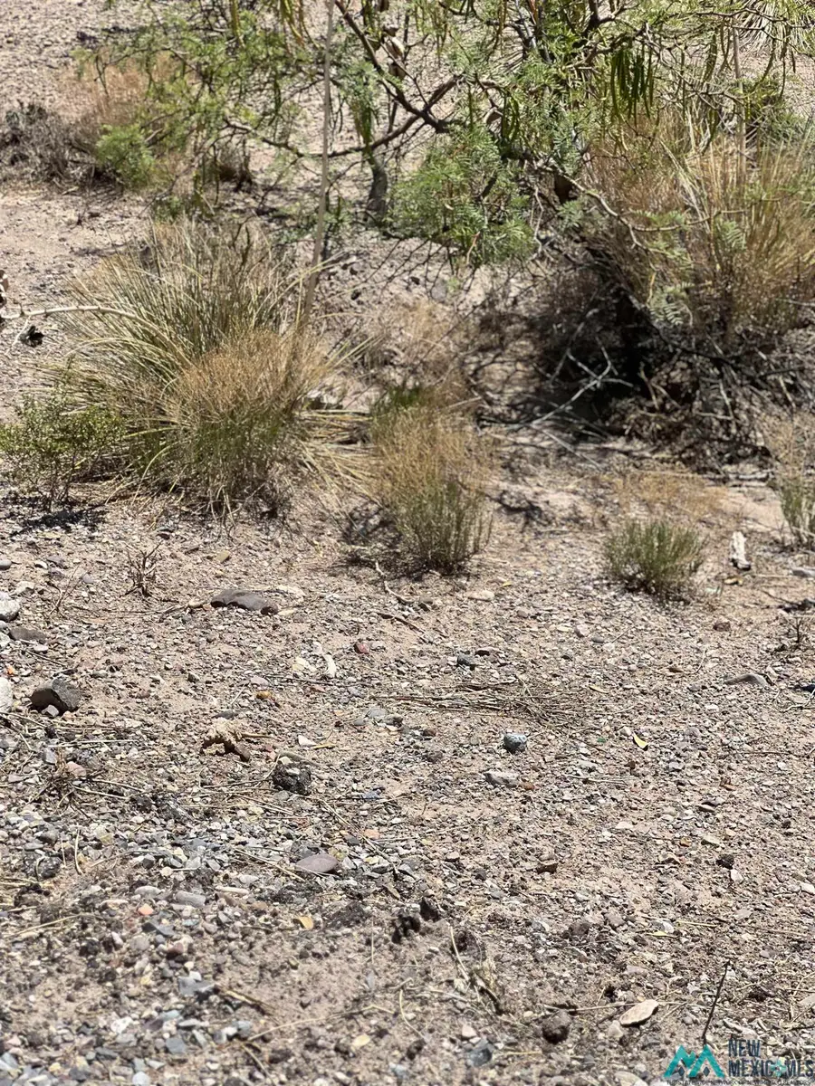 100 Idaho Court, Elephant Butte, NM 87935 - Image #3