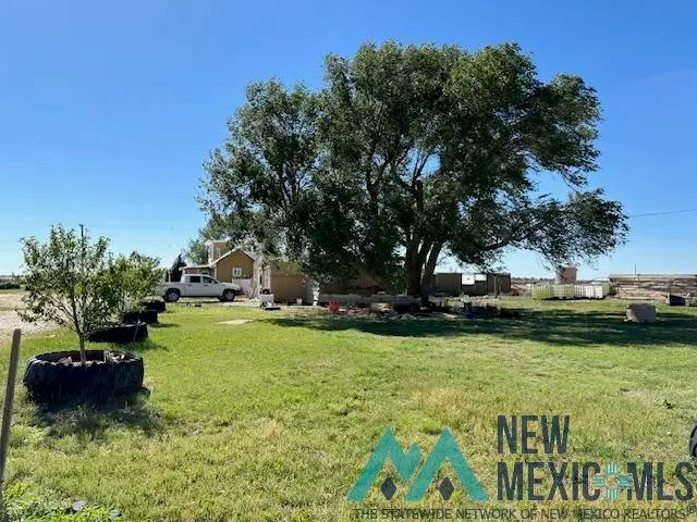 259 S Roosevelt Road Z Road, Portales, NM 88130 - Image #2