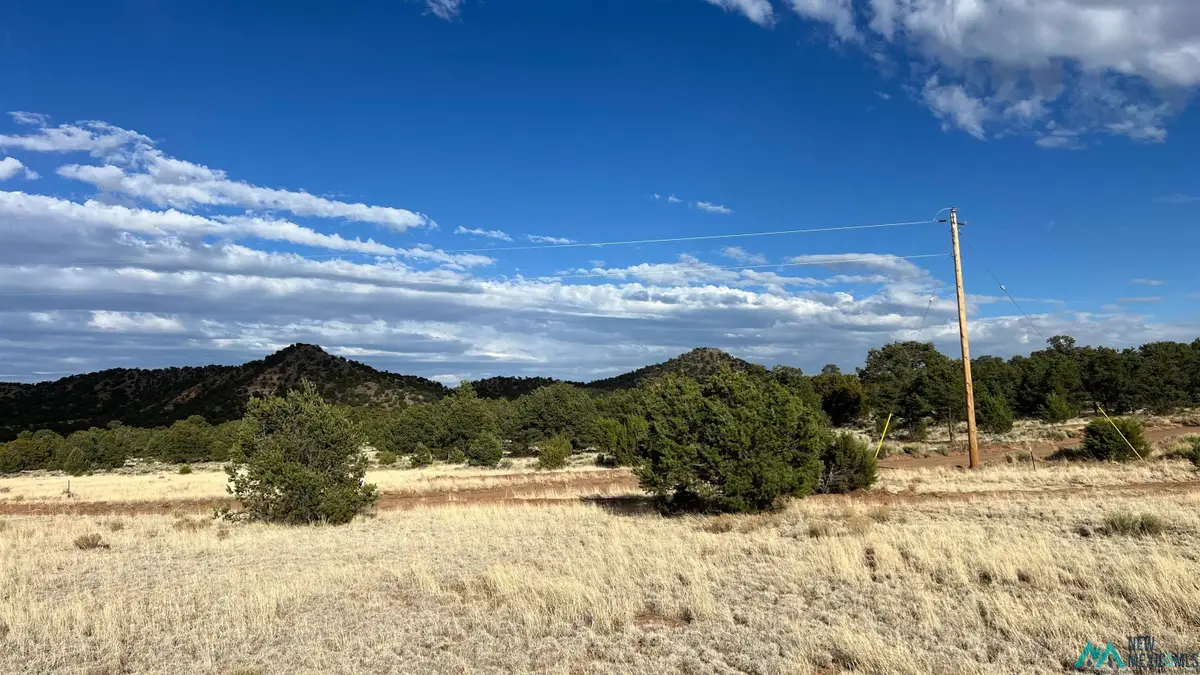 Pinon Ridge Rd Road, Pie Town, NM 87827 - #1