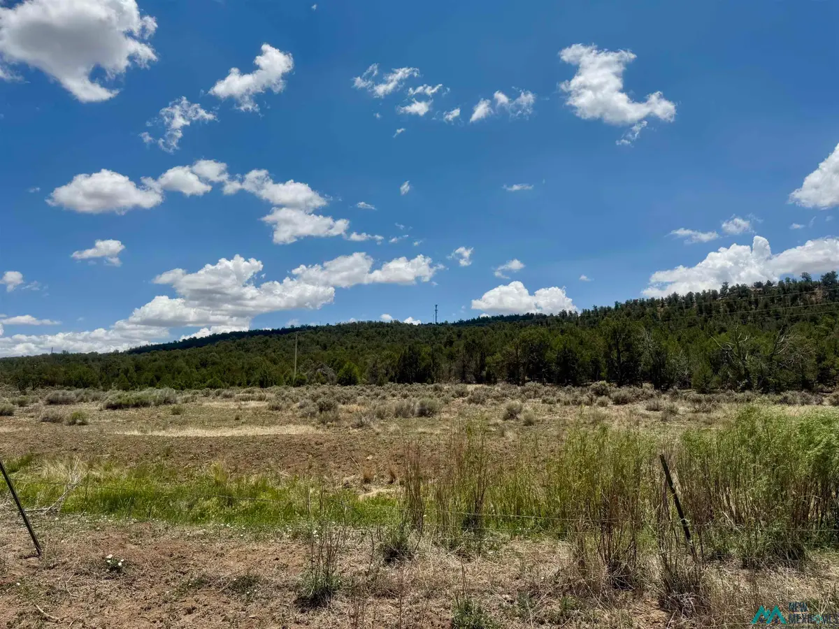 Highway 53 Highway, Ramah, NM 87321 - Image #1