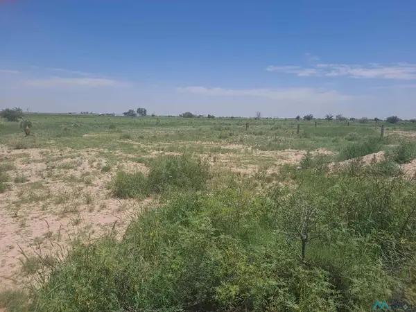 N of 20 Hayride Road, Hope, NM 88250