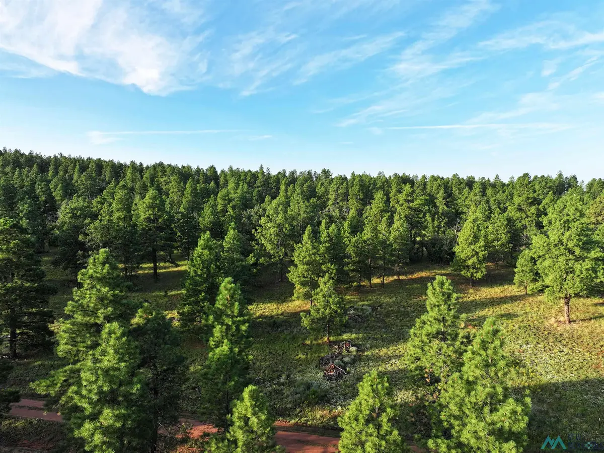 000 Forest Road 157, Bluewater, NM 87005 - Image #1