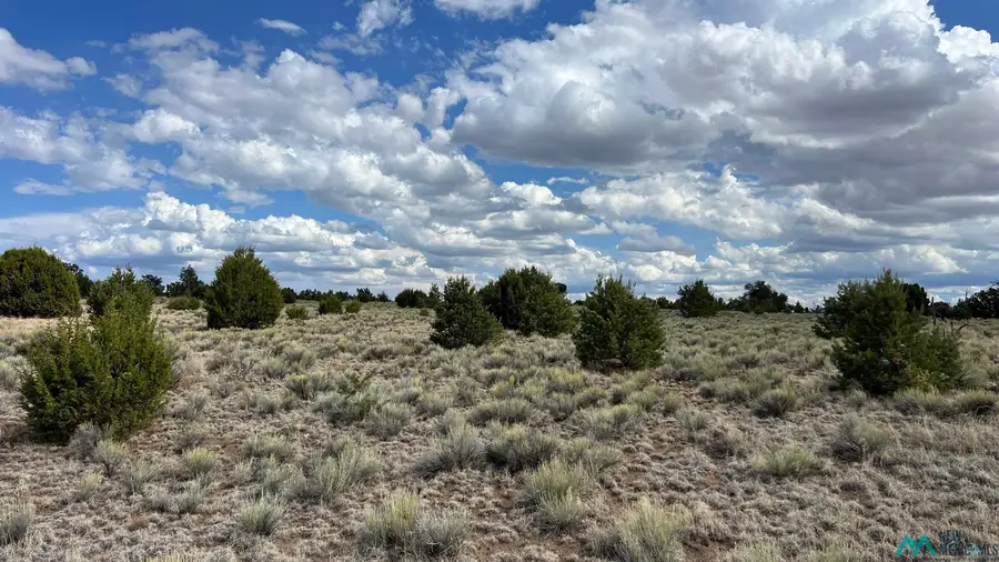 Bridle Path Road, Quemado, NM 87829 - Image #2
