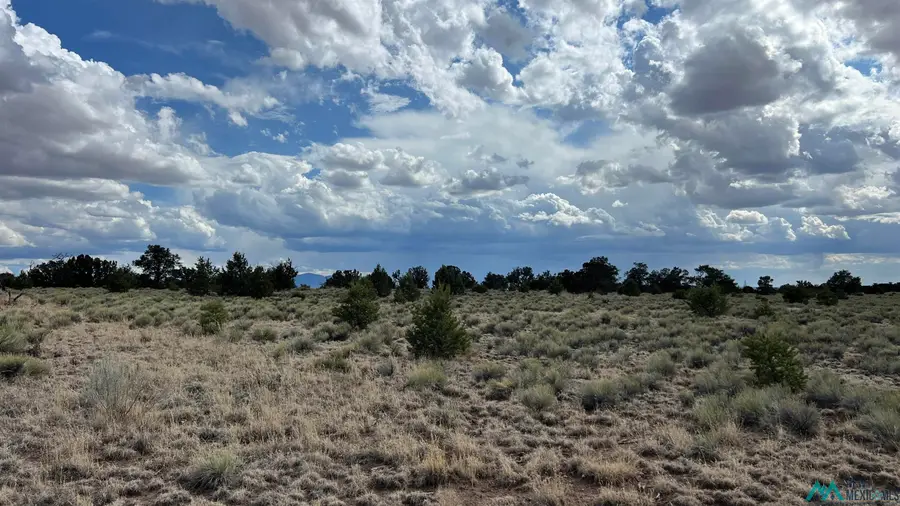 Bridle Path Road, Quemado, NM 87829 - Image #3