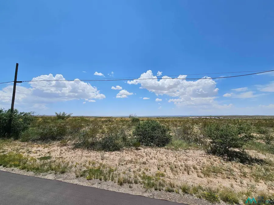 W of 102 Comanche Drive, Carlsbad, NM 88220 - Image #2