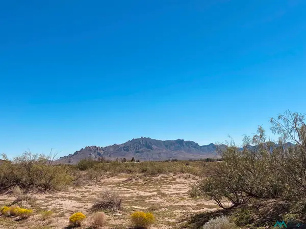 1163 SE Canto Road, Deming, NM 88030